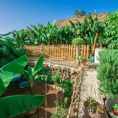 Casa Emblematica Maruca Y Leli Holiday home