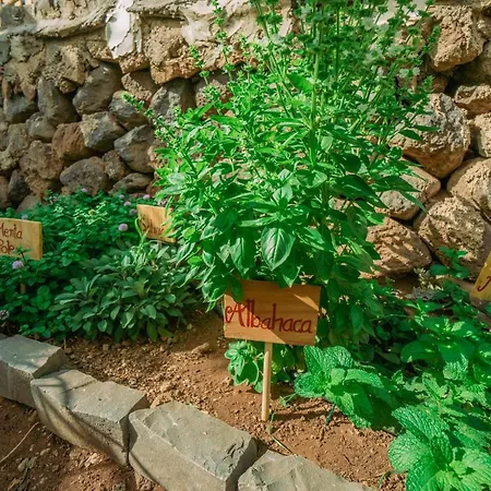 Casa Emblematica Maruca Y Leli Дом отдыха Лос-Силос