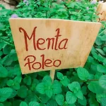 Prázdninový dům Casa Emblematica Maruca Y Leli *