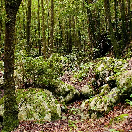 Casa Emblematica Maruca Y Leli Hébergement de vacances *