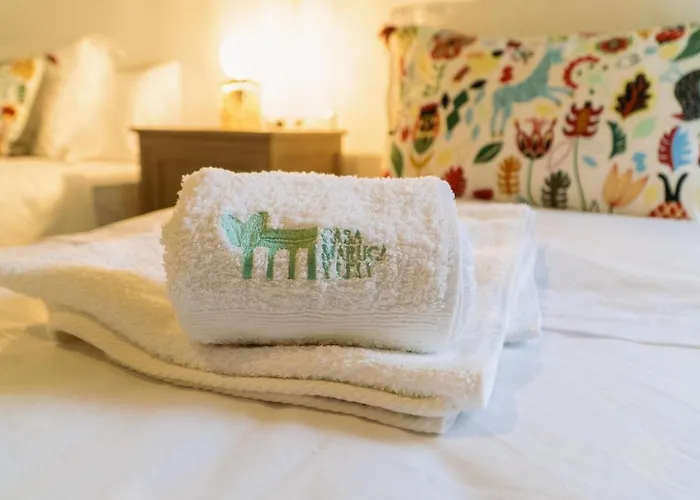 Hébergement de vacances Casa Emblematica Maruca Y Leli