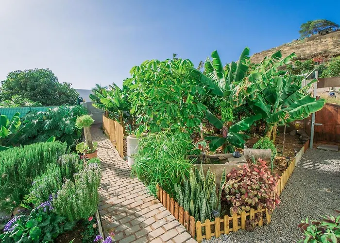 Casa Emblematica Maruca Y Leli Hébergement de vacances