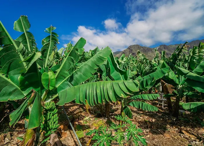 Casa Emblematica Maruca Y Leli Hébergement de vacances *