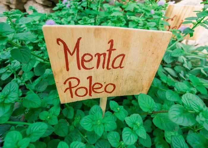 Hébergement de vacances Casa Emblematica Maruca Y Leli *