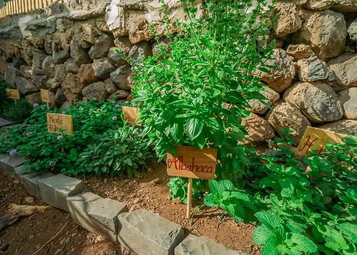 Casa Emblematica Maruca Y Leli Hébergement de vacances Los Silos