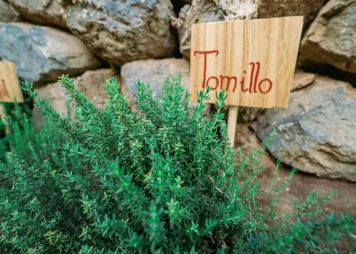 Casa Emblematica Maruca Y Leli Hébergement de vacances