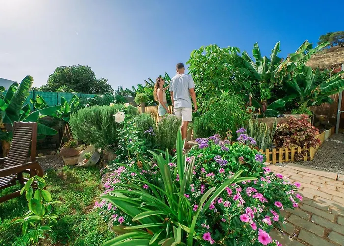 Hébergement de vacances Casa Emblematica Maruca Y Leli *